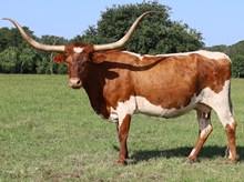 3E Mist